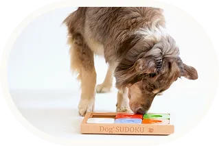 Chien qui joue avec un puzzle