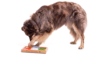 Sudoku pour chien - en utilisation